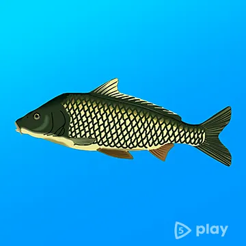 Реальная Рыбалка v1.19.1.912 MOD (Много денег, премиум)