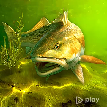 My Fishing World v1.16.27 (МОД: Много денег, VIP)
